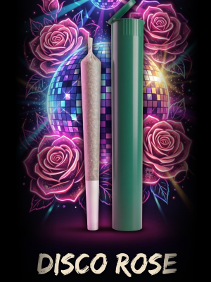Disco Rose Preroll
