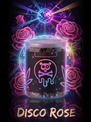 Disco Rose 5g Can