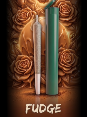 Fudge Preroll